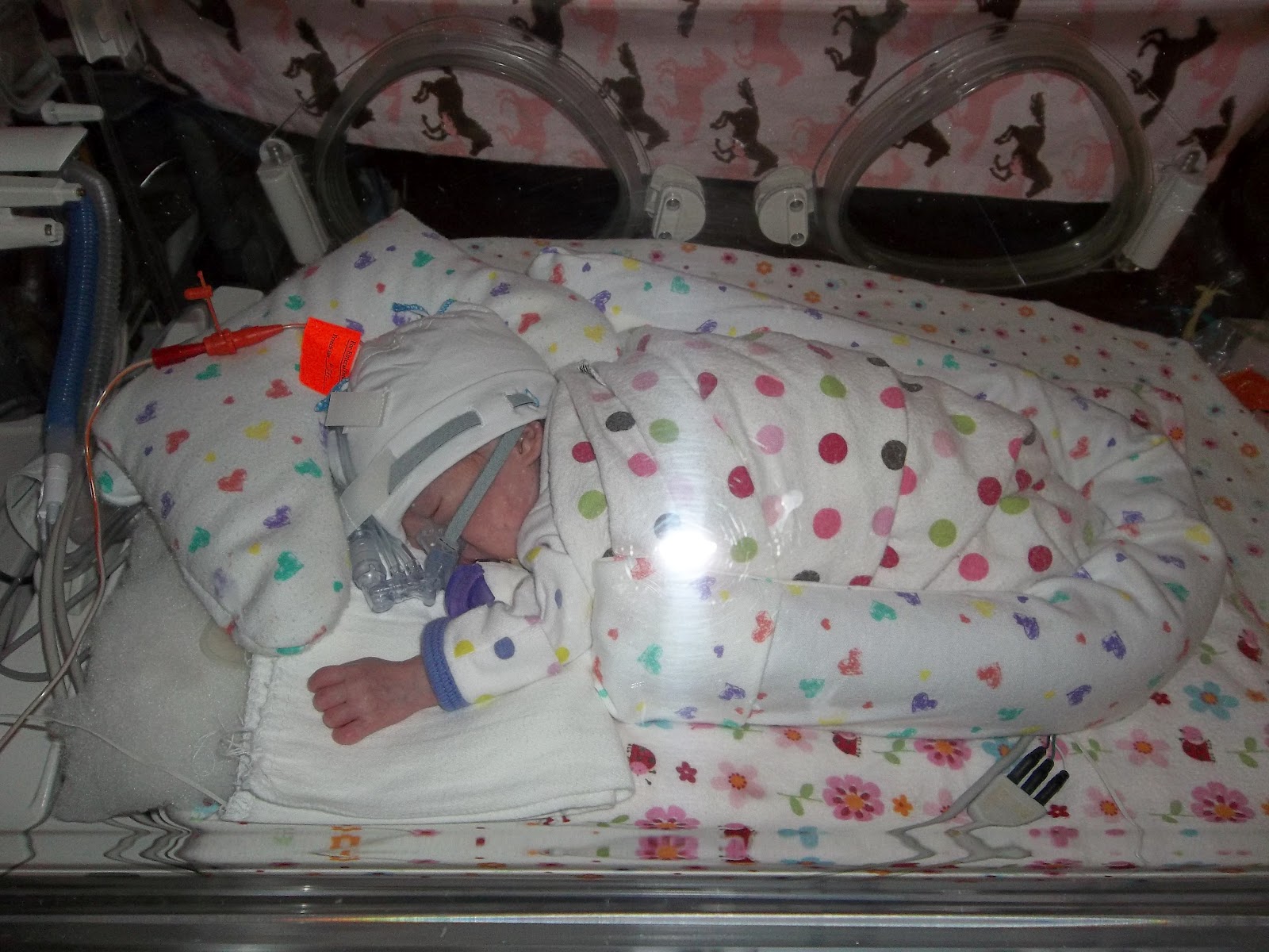 Baby Gabby 3 pounds 7oz